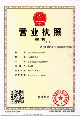 企业营业执照